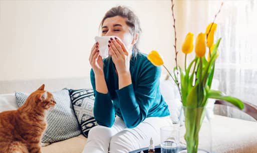 Tratamientos naturales para la alergia en NaturWolf