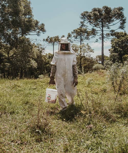 ¿Qué es la apiterapia? Descubre los beneficios de los productos de las abejas en NaturWolf