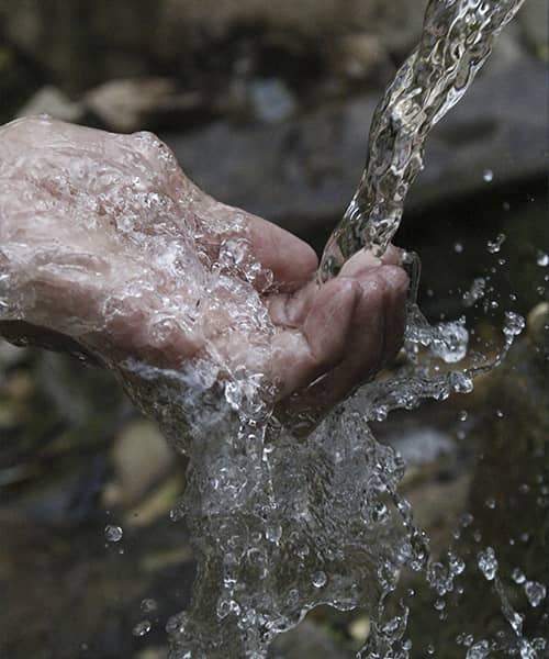 La verdad detrás de la eliminación de toxinas