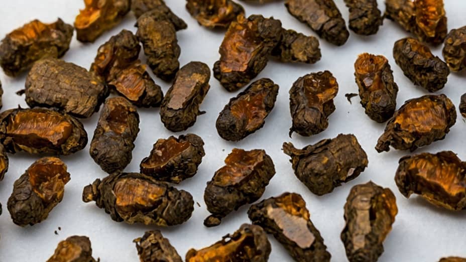 Propóleo: Descubre para qué sirve y sus beneficios para la salud