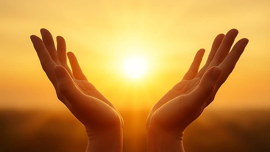 Terapia hormonal sustitutiva en la menopausia: riesgos y alternativas naturales